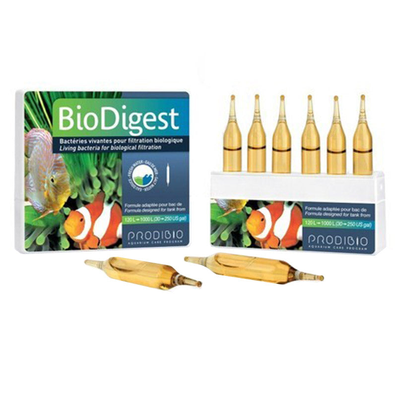 BioDigest 6 ampolle